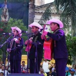 Festival del Huapango “El Caimán del Carpintero”, invaluable patrimonio que da sentido de identidad y pertenencia