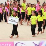 Inauguran la XI Copa Nacional Tampico 2015 de Gimnasia Rítmica