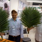 Exportan Palma Camedor de Tamaulipas a Estados Unidos y Europa