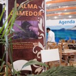 Exportan Palma Camedor de Tamaulipas a Estados Unidos y Europa