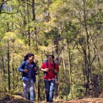 Será turismo de naturaleza, una experiencia inolvidable