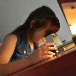 Recibe planetario de Ciudad Victoria exposición sobre Teotihuacán