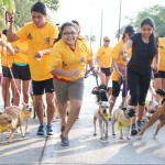 Realizó el Ayuntamiento de Tampico la convivencia deportiva “Canirun 1k Tampico 2015”