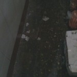 Continúan los desprendimientos de concreto en los mercados municipales de Tampico