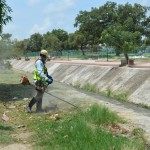 Intensifica Ayuntamiento de Tampico limpieza en canales pluviales y espacios públicos