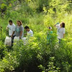 Despliegan en Tamaulipas campaña Limpiemos Nuestro México 2015