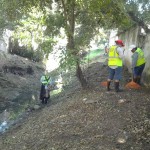 Intensifica Ayuntamiento de Tampico limpieza en canales pluviales y espacios públicos