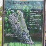 Promueve Ayuntamiento de Tampico concientización sobre el cuidado de la flora y fauna de la Laguna del Carpintero