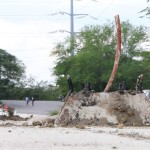 Inicia Gobierno de Tampico instalación de la red de alumbrado público en el bordo Cascajal-Nacional