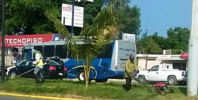 Intensifican trabajos de limpieza a través del programa Tampico Limpio es Mejor