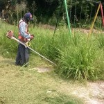 Intensifican trabajos de limpieza a través del programa Tampico Limpio es Mejor