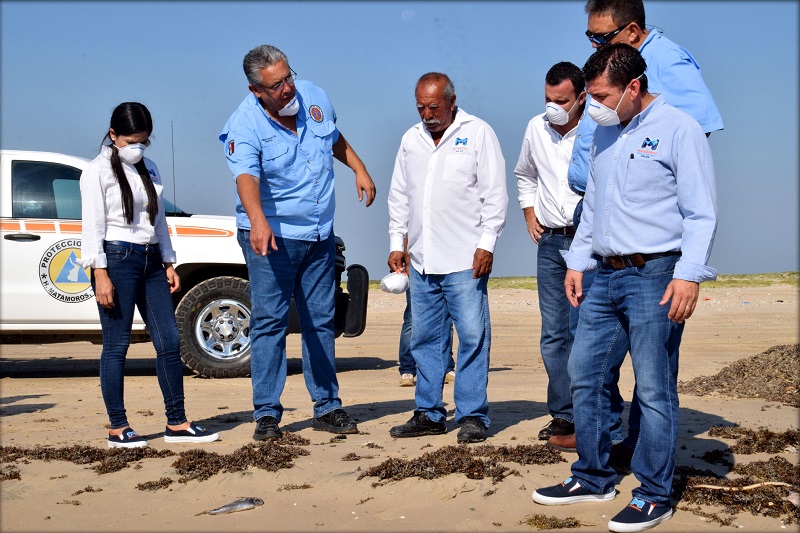 Gobierno de Matamoros alerta sobre marea roja e intensifica acciones
