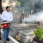 Inician acciones de saneamiento básico en Panteones