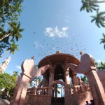 Kiosco de Tampico, 70 años de historia e imagen