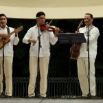 Domingos culturales fortalecen la convivencia familiar