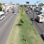 Concluyen trabajos de reencarpetado en la Prolongación de la Avenida Hidalgo