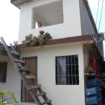 Avanza el pintado de fachadas de casas en las colonias Tancol y Solidaridad Voluntad y Trabajo