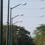 Concluye el Gobierno de Tampico la rehabilitación de alumbrado público en el bordo Cascajal-Nacional