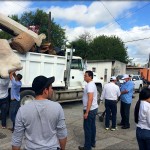 Intensifica Gobierno de Lety Salazar campaña de descacharrización Intensifica Gobierno de Lety Salazar campaña de descacharrización