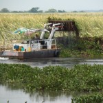 Rehabilita Gobierno de Tampico sistema lagunario
