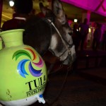 Atrae Tula a visitantes con su magia