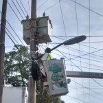 Rehabilita el Gobierno de Tampico la red de alumbrado público en diversos sectores