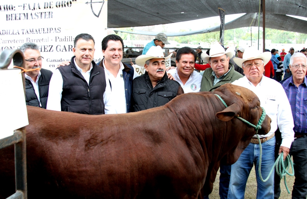 Apoyos fortalecen e incentivan actividad ganadera en Mante: Pablo