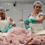 Tamaulipas pionero en producir cremas cosméticas a base de colágeno de bagre