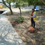 Realiza Servicios Públicos de Tampico trabajos de limpieza en canales a cielo abierto y vialidades