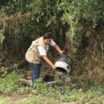 Inicia operativo de saneamiento y eliminación de criaderos por “Danielle” Inicia operativo de saneamiento y eliminación de criaderos por “Danielle”