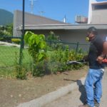 Inicia operativo de saneamiento y eliminación de criaderos por “Danielle” Inicia operativo de saneamiento y eliminación de criaderos por “Danielle”