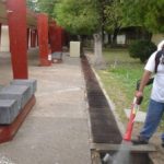 Inicia operativo de saneamiento y eliminación de criaderos por “Danielle” Inicia operativo de saneamiento y eliminación de criaderos por “Danielle”