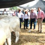 Tamaulipas es líder en ganado de registro: Pablo