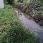 Realizan en Mante trabajo permanente de desazolve de drenes