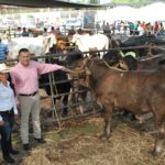 Tamaulipas es líder en ganado de registro: Pablo