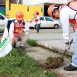 Beneficia Programa de Empleo Temporal a 2,468 personas