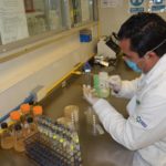 Abastecen a hospitales tamaulipecos con antídotos contra animales ponzoñosos