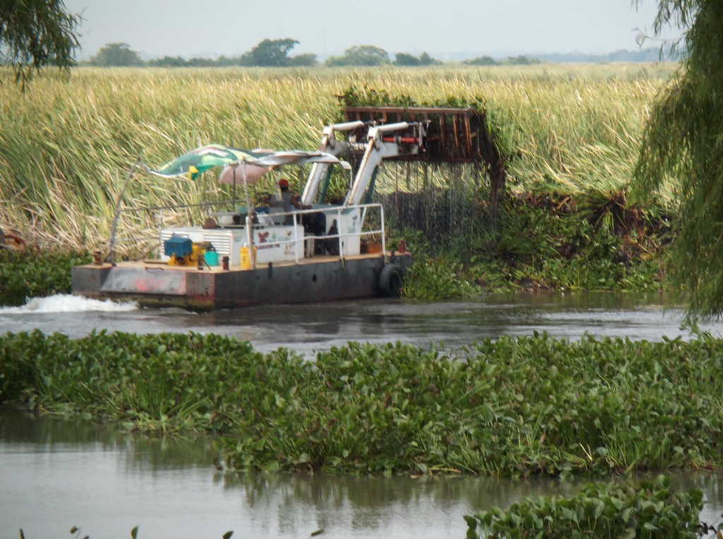 Continúa el Gobierno de Tampico rehabilitación del sistema lagunario