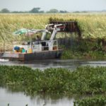 Continúa el Gobierno de Tampico rehabilitación del sistema lagunario