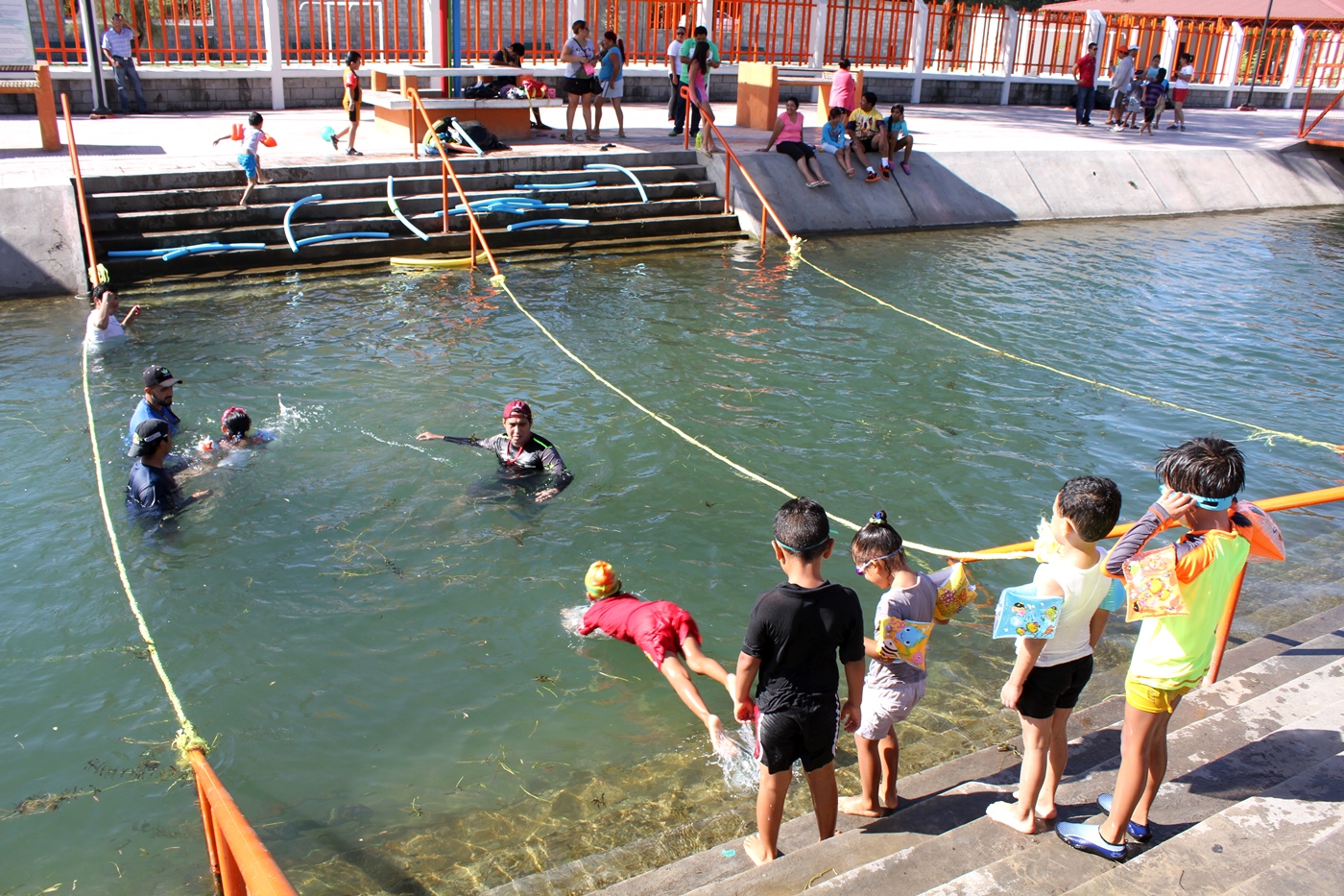 Campamento de Verano de Natación en La Difusora tiene gran aceptación Campamento de Verano de Natación en La Difusora tiene gran aceptación