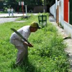 Logra aterrizar PGL Empleo Temporal