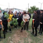 Alcaldesa siembra árboles en la Colonia Borreguera