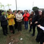 Alcaldesa siembra árboles en la Colonia Borreguera