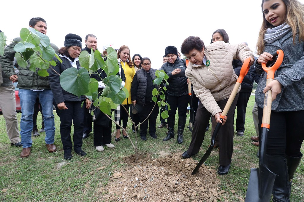 Alcaldesa siembra árboles en la Colonia Borreguera Alcaldesa siembra árboles en la Colonia Borreguera
