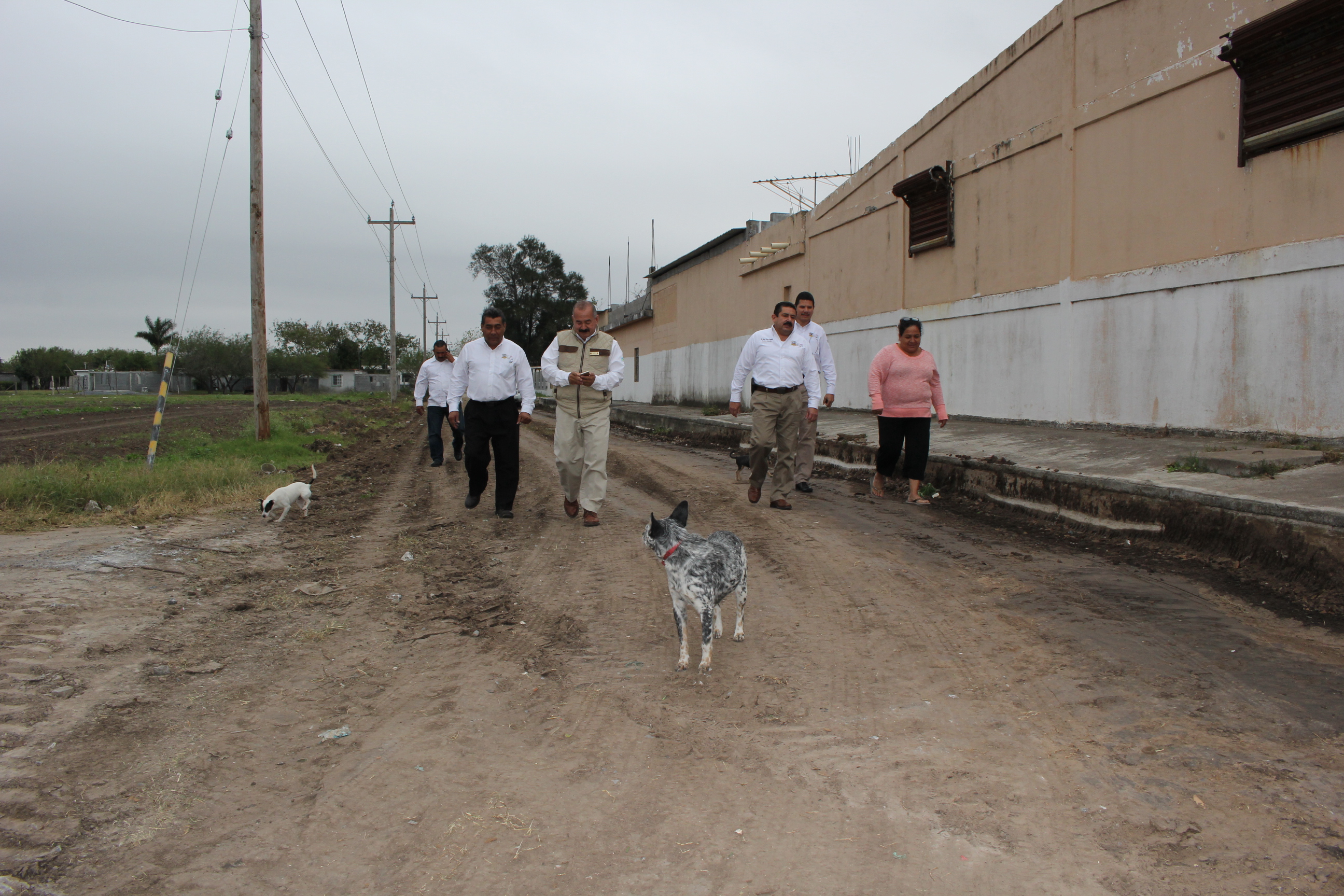 Rastreo y revestimiento en colonias los conejos y unión