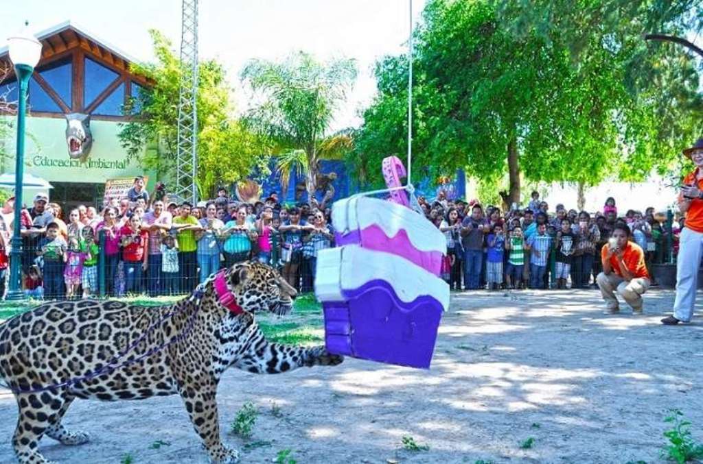 Se divierten Nolaredenses en el festejo de la Jaguar Tulum