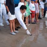 Liberan gobierno de Tamaulipas y voluntarios más de mil crías de tortugas Lora