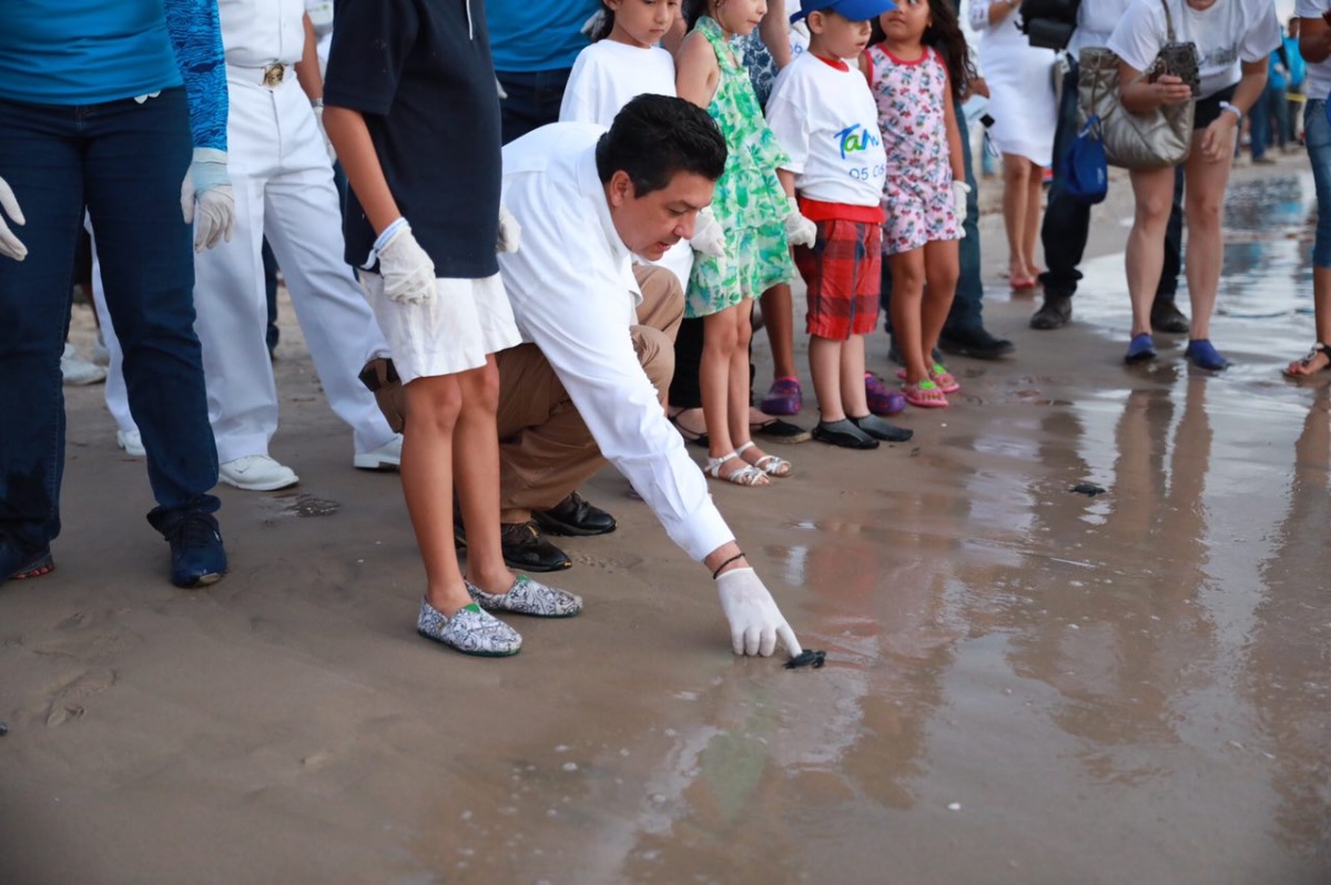 Liberan gobierno de Tamaulipas y voluntarios más de mil crías de tortugas Lora