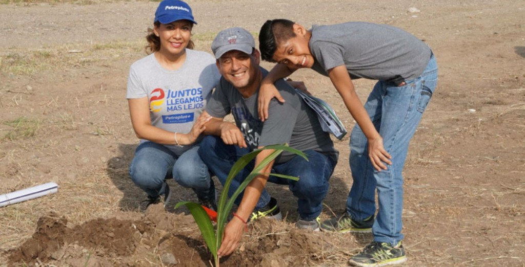 Se plantaron alrededor de 75 árboles de diferentes especies