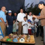 Liberan gobierno de Tamaulipas y voluntarios más de mil crías de tortugas Lora